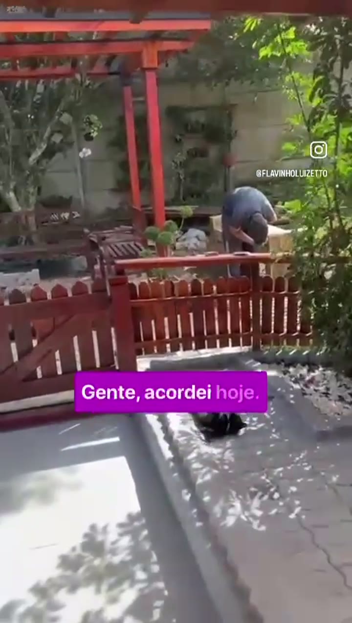 Vídeo de Flavinho Luizetto: Trabalho, rotina e recuperação